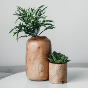 Smart Irrigation Kit